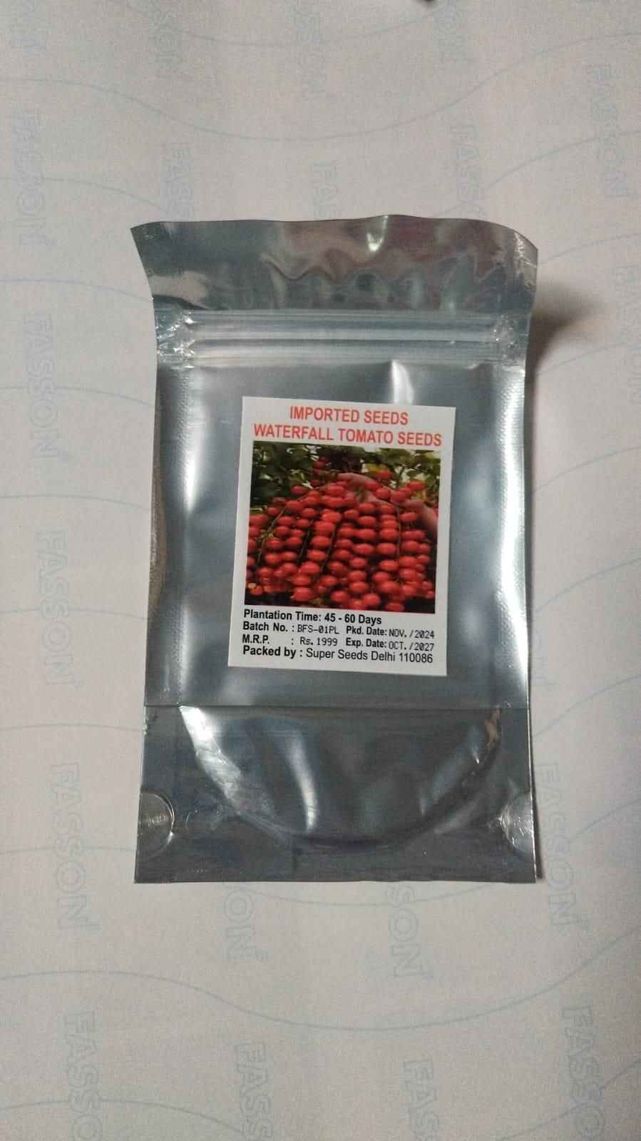 Waterfall Tomato Seeds, Pack of 2