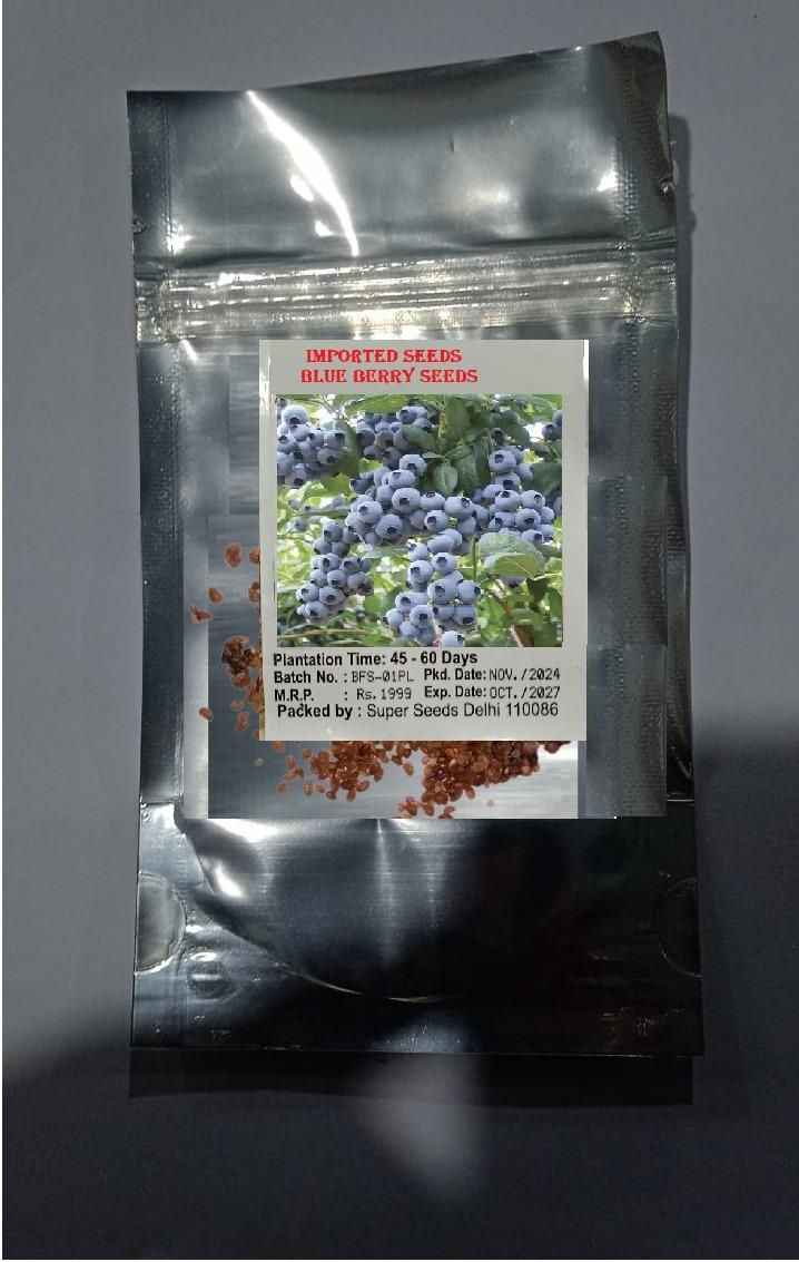 Giant Blueberry Fruit Seeds (Pack of 2)