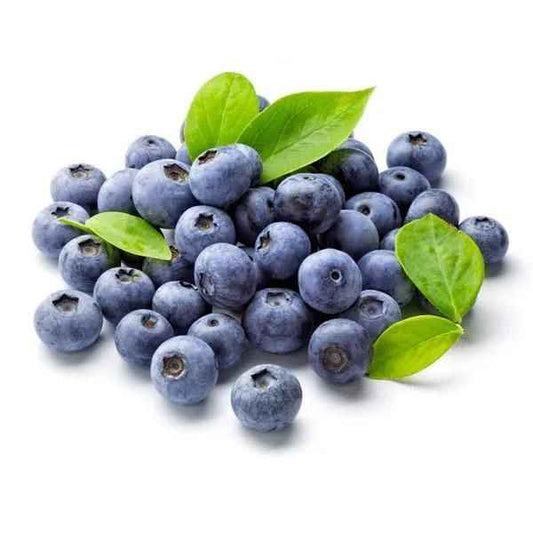 Giant Blueberry Fruit Seeds (Pack of 2)