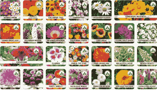 Buy Varieties of Flower Seeds (Pack of 100) +Free Plant Growth Supplement