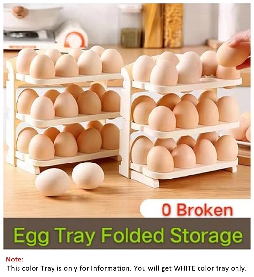 Folding Egg Storage Box