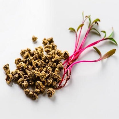 Beetroot Seeds Organic Pot Mix100g