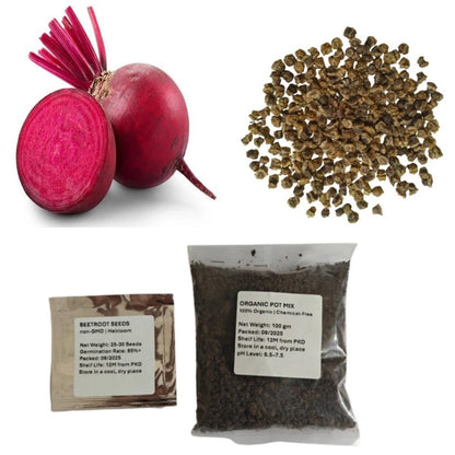Beetroot Seeds Organic Pot Mix100g