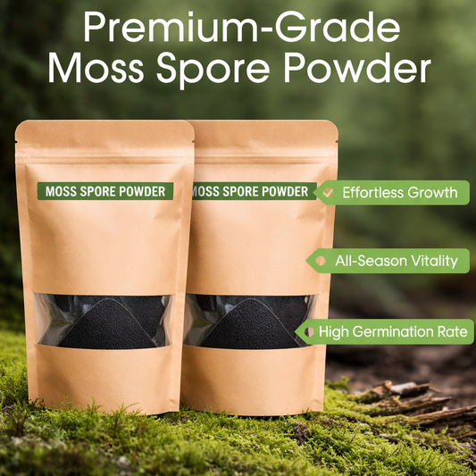 AI Premium Grade Moss Spore Powder pack of 2
