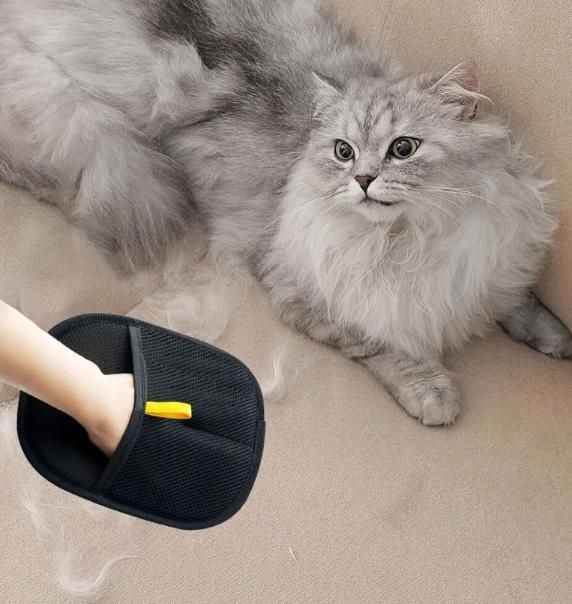 Pet Hair Remover